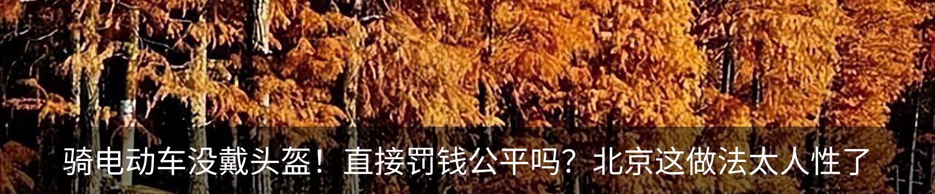 行业资讯